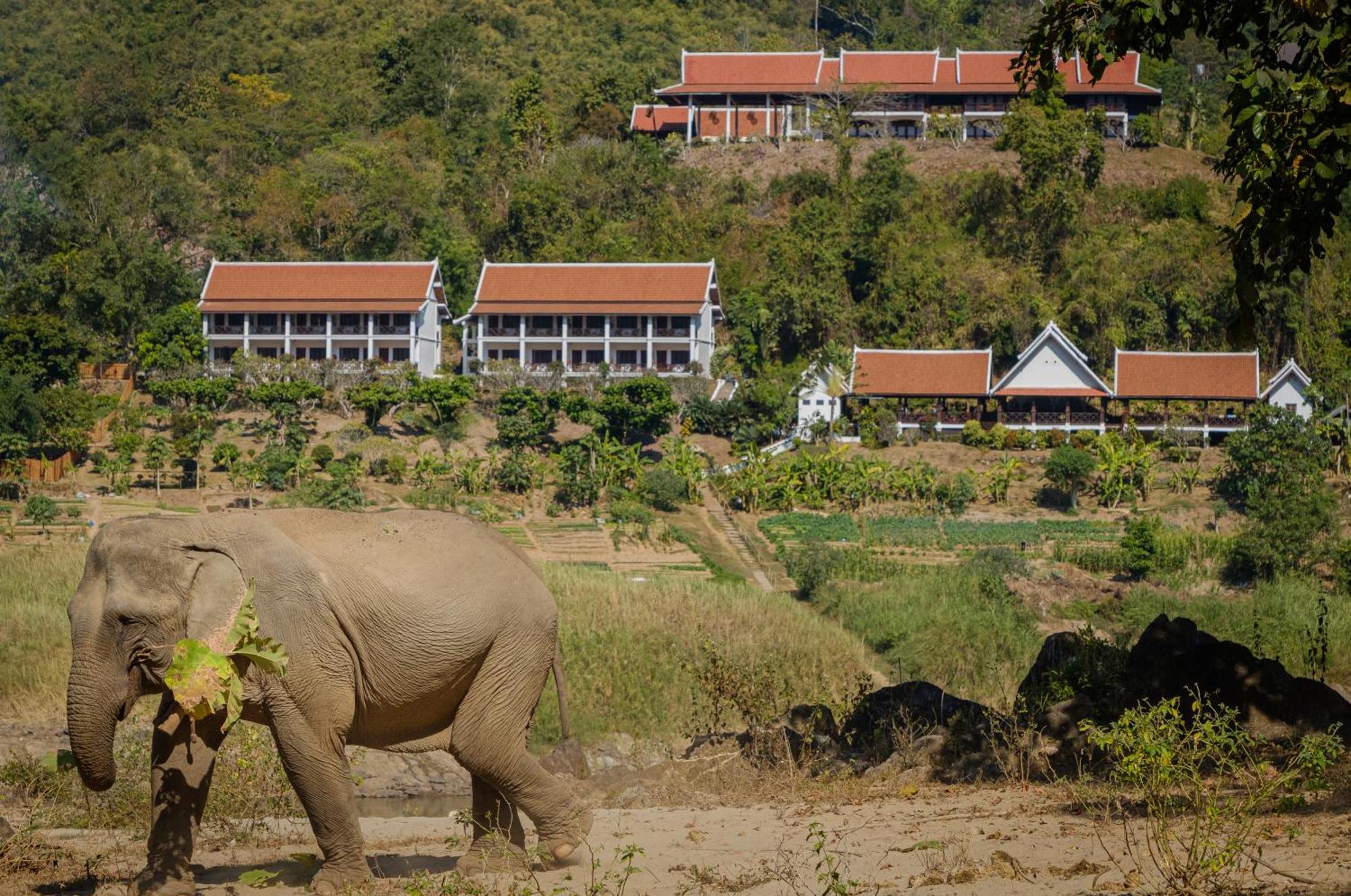 The Sanctuary Pakbeng Lodge Exterior foto